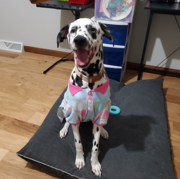 Meet Max! - Picture 13 of 14